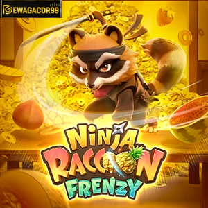 Ninja Raccoon Frenzy